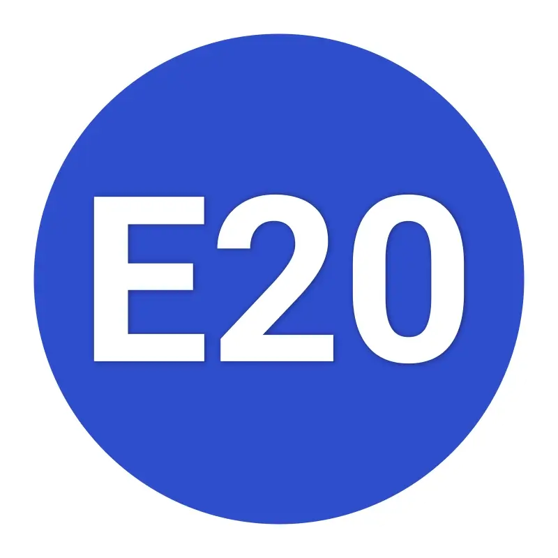 e20