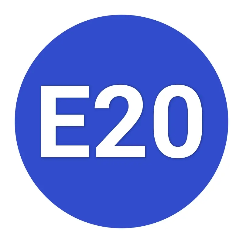 e20_fuel_compatible