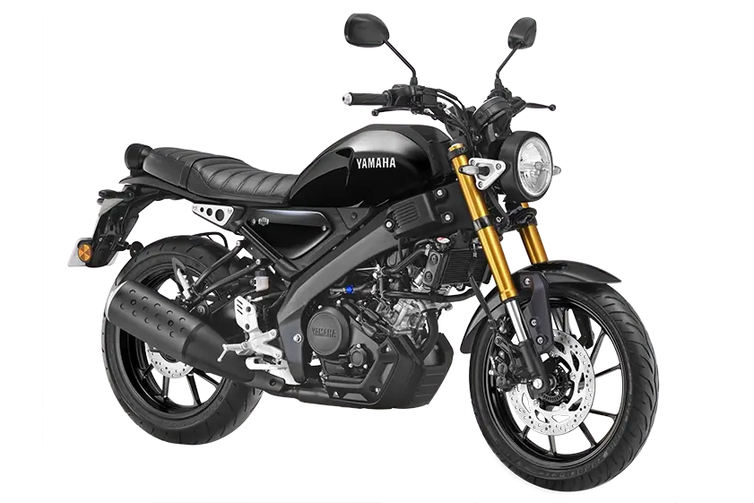 Bike - Metallic Black
